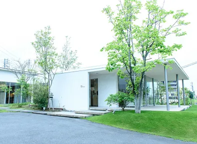 サロンスライダー画像5